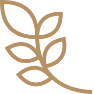 Свежее масло без лишних забот | Важное масло — сыродавленное масло ручной работы Свежее масло без лишних забот